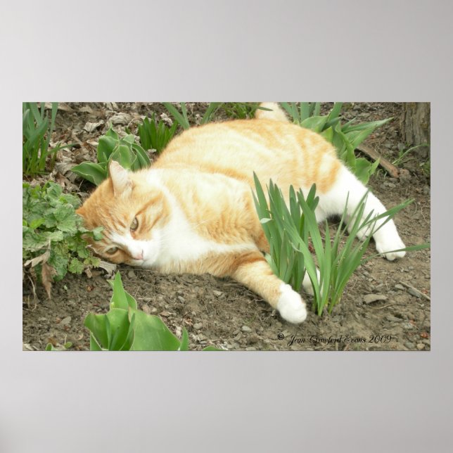 Scrapper in the garden poster (Front)