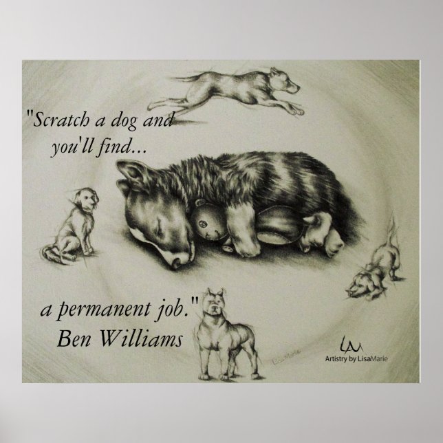 Scratch a Dog - Dog Sleeping Poster (Front)