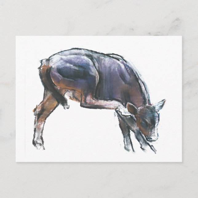 Scratching Calf 2006 Postcard (Front)