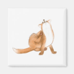 Scratching fox magnet