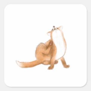 Scratching fox square sticker