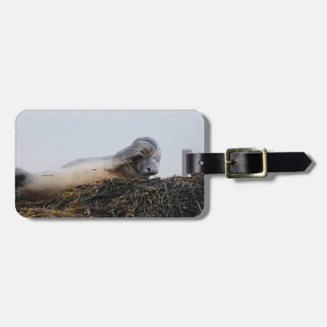 Scratching Seal Luggage Tag (Front Horizontal)