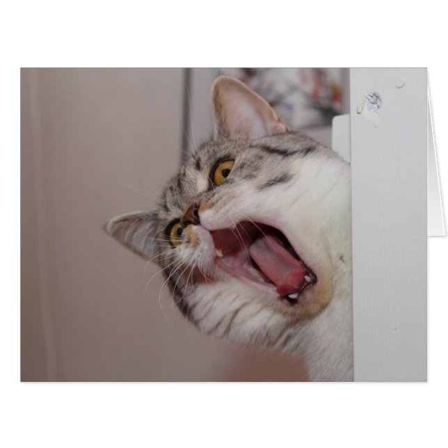 Screaming British Shorthair (Front Horizontal)