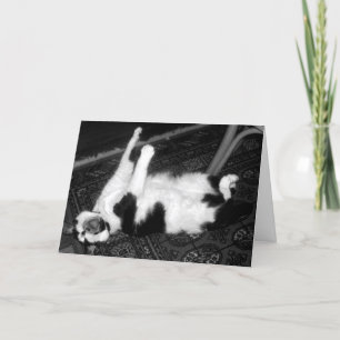 Screaming Cat Belated Birthday Card