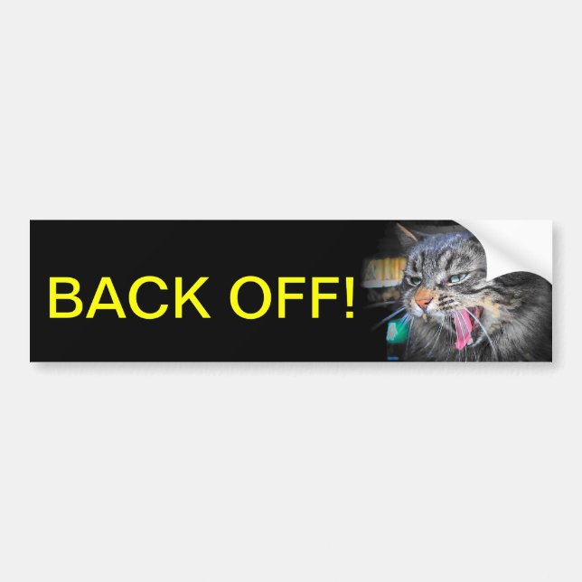 Screaming Cat Says Back off Bumper Sticker (Front)