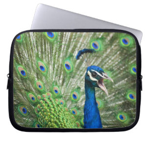 Screaming peacock laptop sleeve