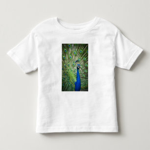 Screaming peacock toddler t-shirt