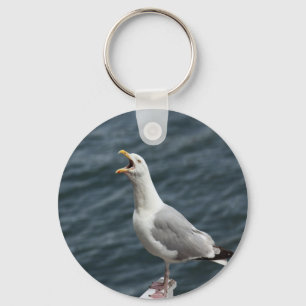 screaming seagull singing love songs keychain