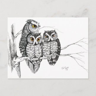 Screech Owl Family 2 Postcard