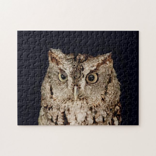 Screech Owl Jigsaw Puzzle (Horizontal)