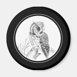 Screech Owl Magnet in pencil