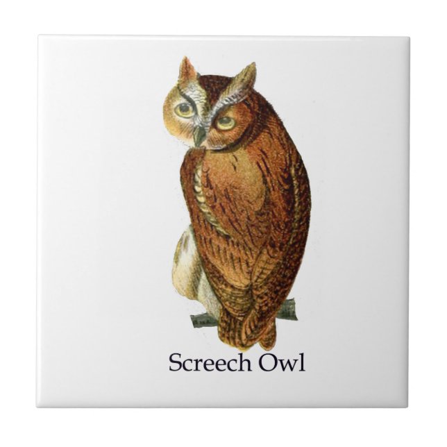 Screech Owl Tile (Front)
