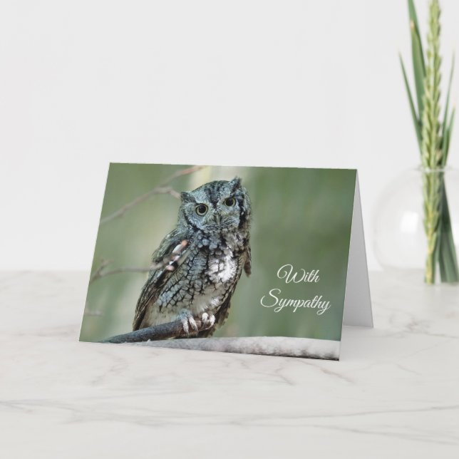 Screech Owl Tree Branch Photo Sympathy Card (Front)