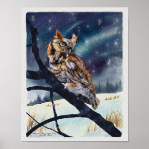 Screech Owl Winter Night Poster
