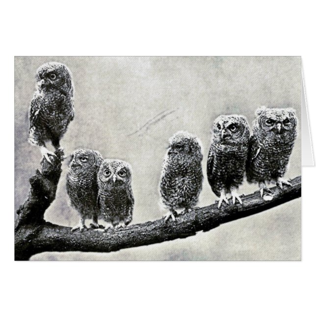 Screech Owls Card (Front Horizontal)