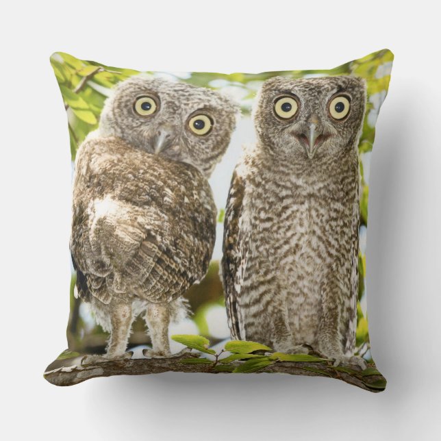 Screech Owls Chicks 2 Throw Pillow (Front)