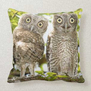 Screech Owls Chicks 2 Throw Pillow