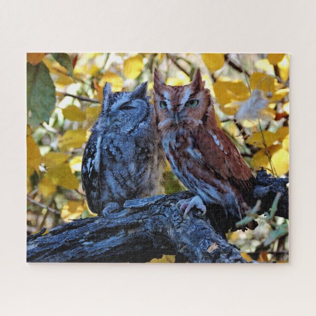 Screech Owls Jigsaw Puzzle (Horizontal)