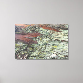 SCREEN FRAME CANVAS NATUREZA BRAZIL