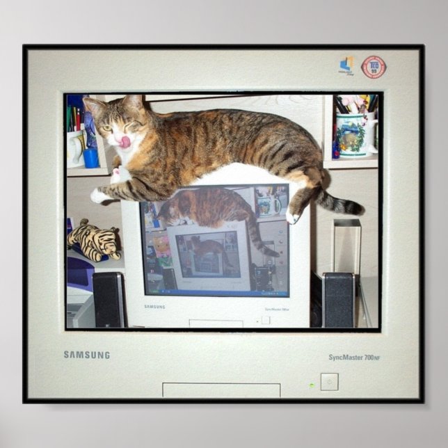 Screen Savour Prints (Front)