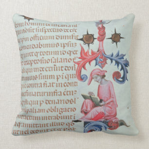 Scribe or chronicler, possibly a self portrait of throw pillow