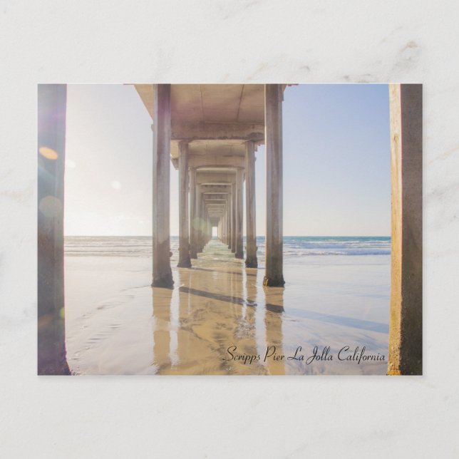 Scripps Pier La Jolla California Postcard (Front)