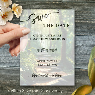 Script Save the Date Vellum Invitations