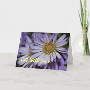 Scripture Card —Purple Daisies Get Well Soon Card