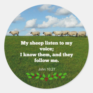 Scripture verse, John 10:27, My sheep listen... Classic Round Sticker