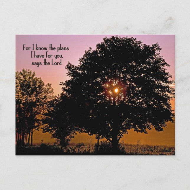 Scripture verse with sunset tree holiday postcard (Front)