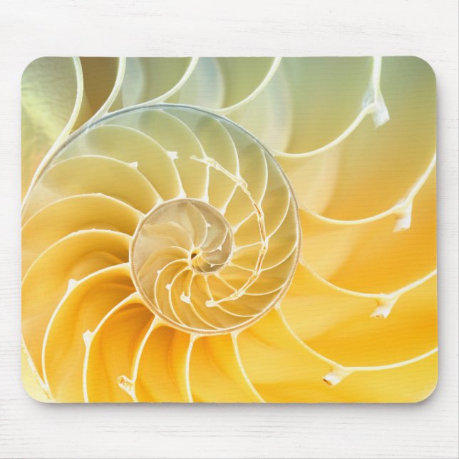 scroll mouse pad (Front)