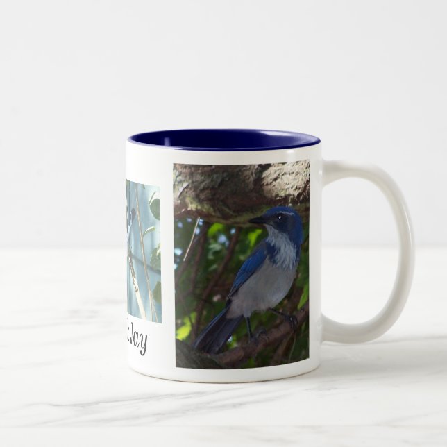 Scrub Jay Mug (Right)
