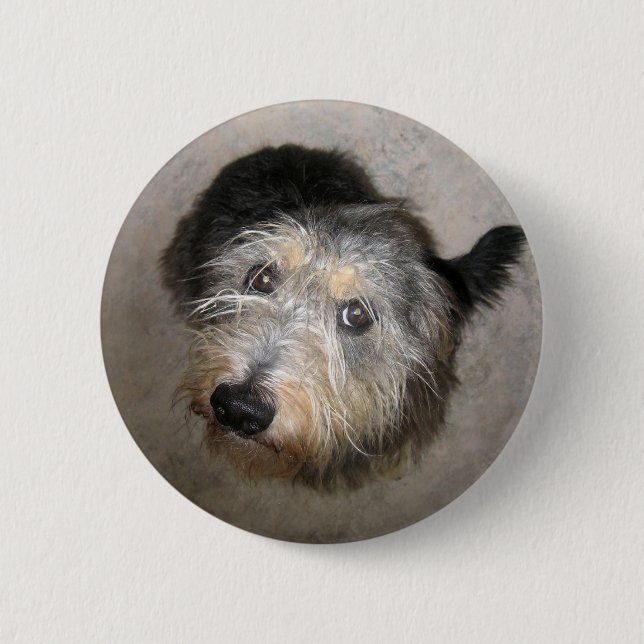 Scruffy cute dog badge 2 inch round button (Front)