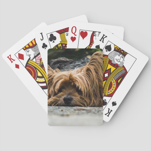 Scruffy Dog Laying Down Playing Cards (Back)