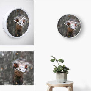 Scruffy Ole Bird, Emu. Square Wall Clock