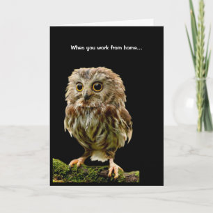 Scruffy Owl Working from Home Card