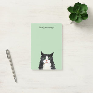 Scruffy tuxedo cat post-it notes