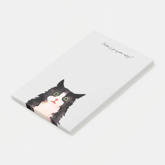 Scruffy tuxedo cat post-it notes (Angled)