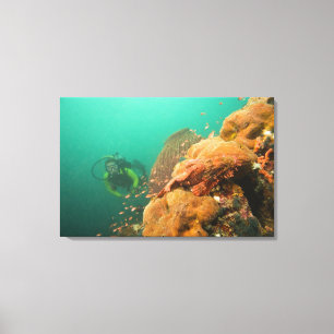 scuba diver & Scorpionfish Scorpanopsis Canvas Print