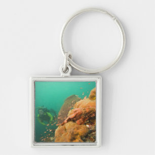 scuba diver & Scorpionfish Scorpanopsis Keychain
