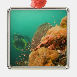 scuba diver & Scorpionfish Scorpanopsis Metal Ornament