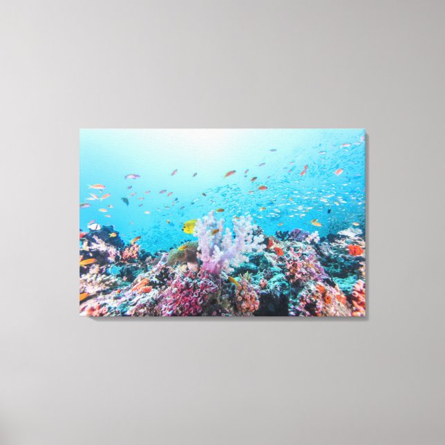 Scuba Diving With Colourful Reef And Coral Canvas Print (Front)