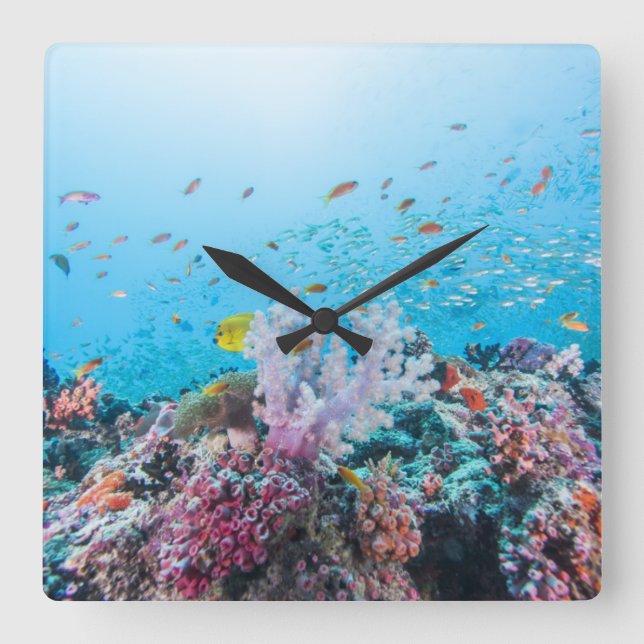 Scuba Diving With Colourful Reef And Coral Square Wall Clock (Front)
