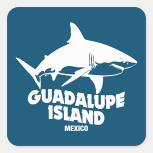 Scuba Diving With Sharks Guadalupe Island Square Sticker