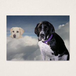Scuba Dog "Sympathy" Trading Card