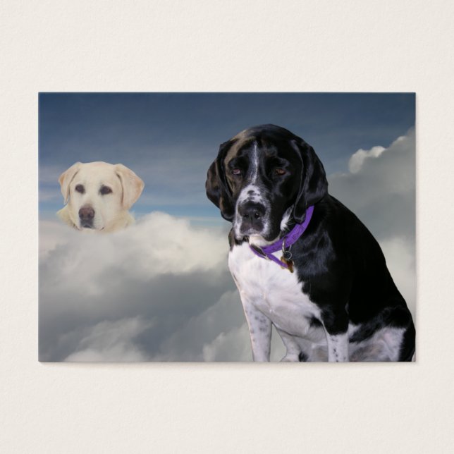 Scuba Dog "Sympathy" Trading Card (Front)