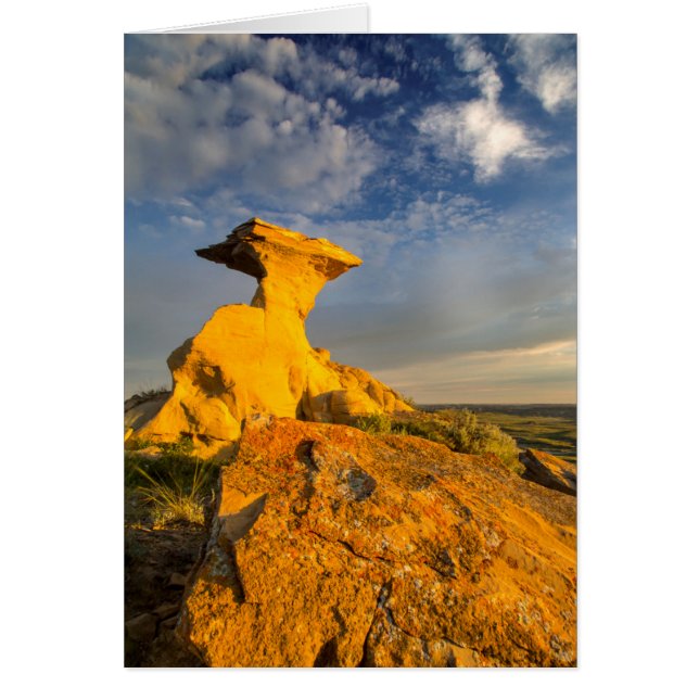 Sculpted Badlands Formation In Short Grass (Front)