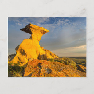 Sculpted Badlands Formation In Short Grass Postcard