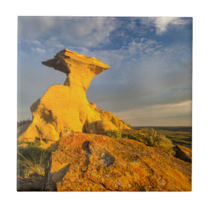 Sculpted Badlands Formation In Short Grass Tile