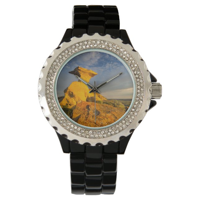 Sculpted Badlands Formation In Short Grass Watch (Front)